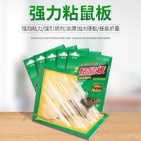 粘鼠板選購全攻略 從排行榜、價格到使用技巧，一篇搞定